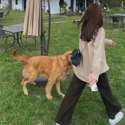 死亡之吻